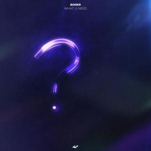 收听Bonkr的What U Need (Extended Mix)歌词歌曲