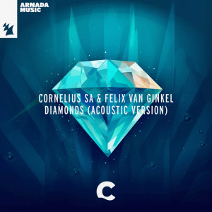 Album Diamonds (Acoustic Version) from Felix van Ginkel