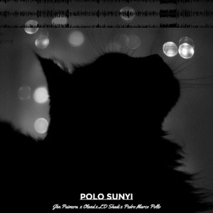 Pedro marcopollo的專輯POLO SUNYI