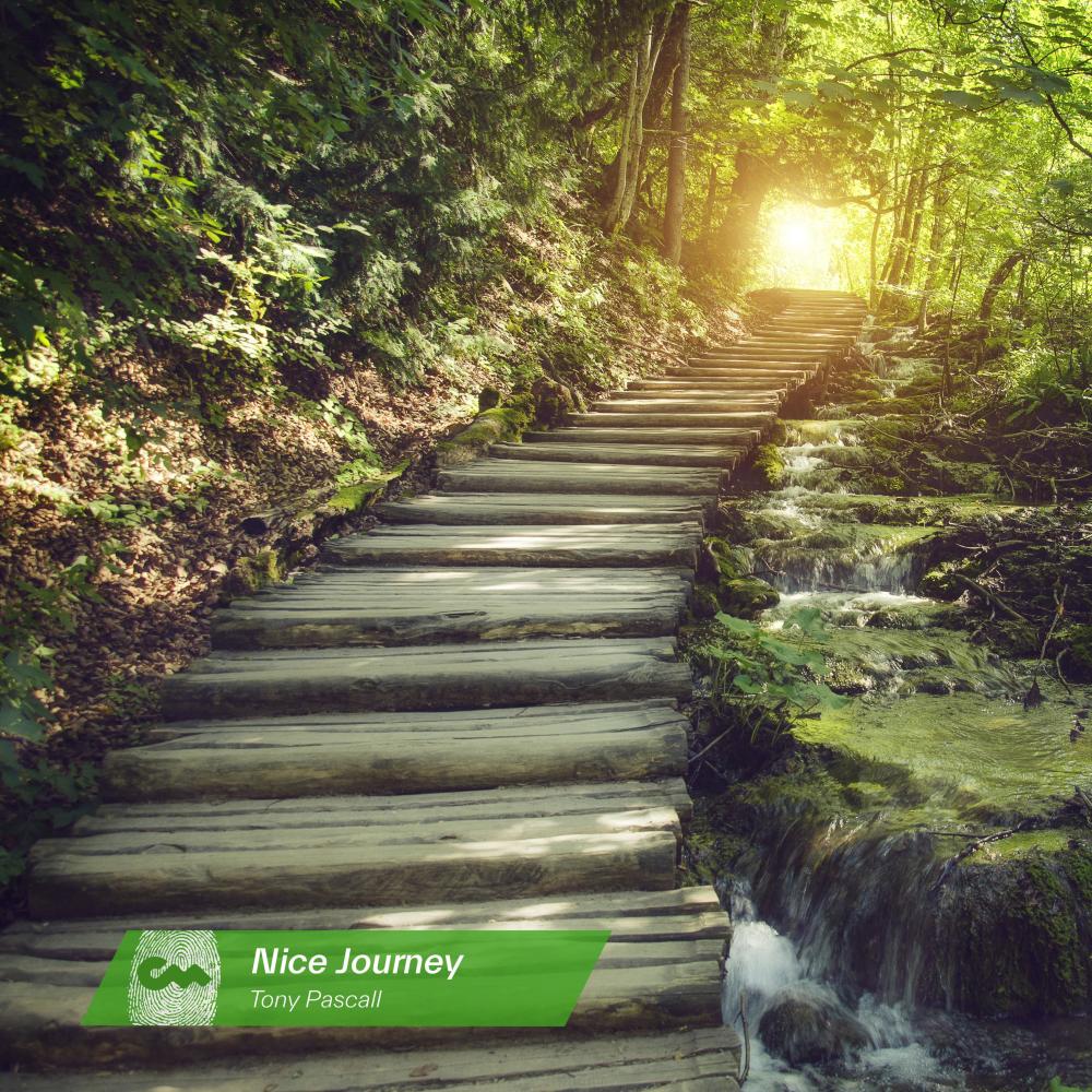 Nice Journey