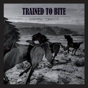 ดาวน์โหลดและฟังเพลง Shocking Blues พร้อมเนื้อเพลงจาก Trained to Bite