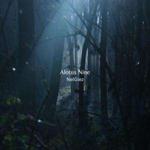 收听NelGlez的Alotus Nine歌词歌曲
