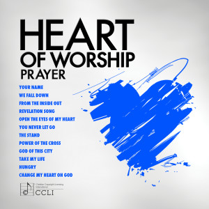 收聽Maranatha! Music的We Fall Down (You Are My King, Vol. 1 Album Version)歌詞歌曲