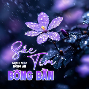 Listen to Sắc Tím Bông Bần song with lyrics from Minh Như