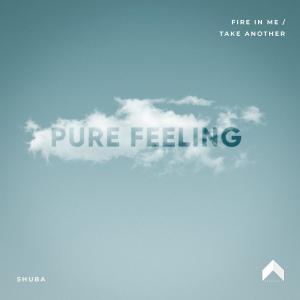 Listen to Take Another song with lyrics from Shuba