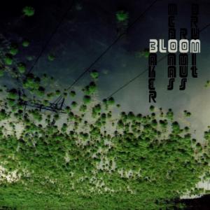 收聽Rent Romus的Bloom歌詞歌曲