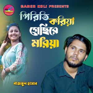 Listen to Piriti Koriya Gecire Moriya song with lyrics from Nazmul Hasan