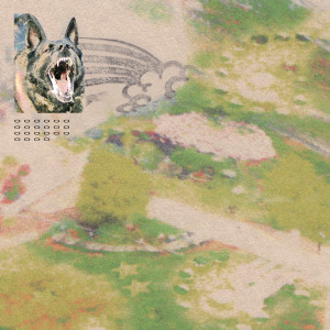 feeble little horse的專輯Steamroller (Explicit)