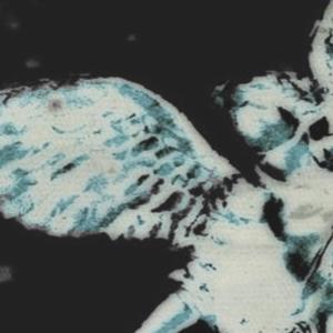 收聽Scorpiioh的TIMELESS歌詞歌曲