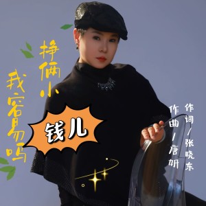 唐妍的专辑挣小俩钱儿我容易吗