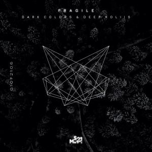 Album Fragile oleh Dark Colors