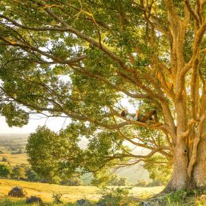 Listen to Warm Vibes for Sleeping song with lyrics from Relaxing Music