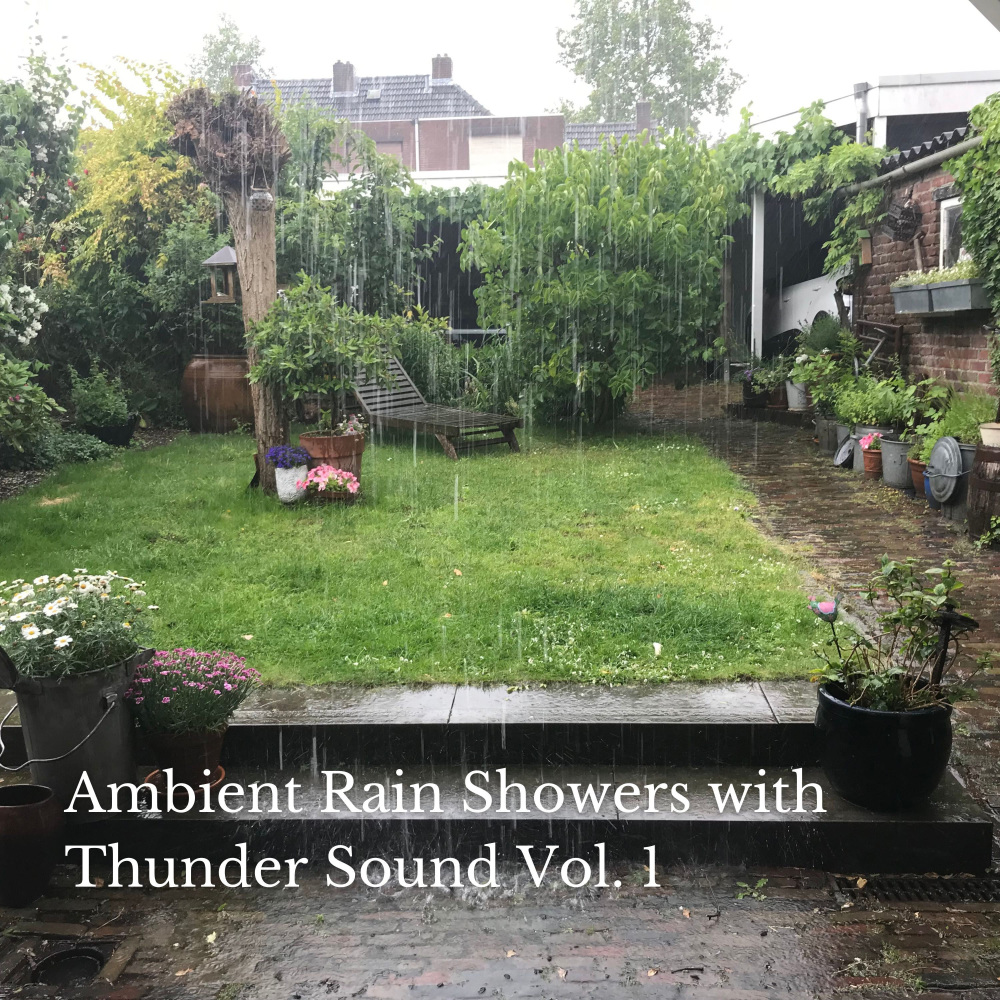 Whizzing Thunder Rain