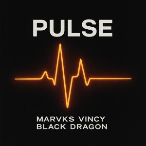 Album Pulse oleh Black Dragon