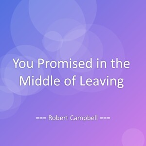 Album You Promised in the Middle of Leaving from Robert Campbell