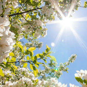 收聽Jaira的better days歌詞歌曲