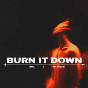 Dengarkan Burn It Down lagu dari Umali dengan lirik