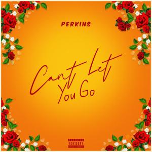 Perkins的專輯Can't Let You Go