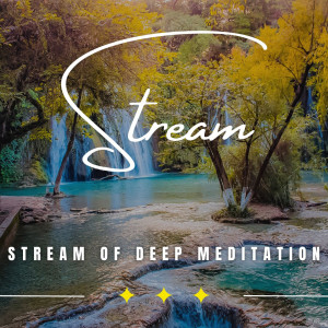 Stream of Tranquility: Binaural Meditation Journeys
