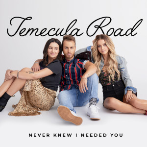 收聽Temecula Road的Never Knew I Needed You歌詞歌曲