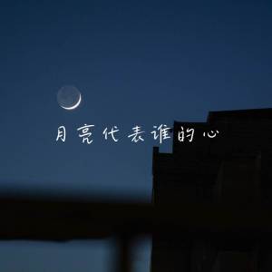 Album 月亮代表谁的心 (温柔女声版) oleh 王一只