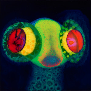 อัลบัม Cassius, Brutus & Judas (Explicit) ศิลปิน Thee Oh Sees