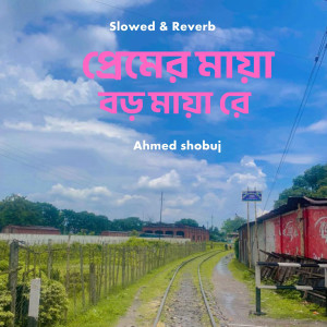 Album Premer Maya Boro Maya Re (Slowed & Reverb) from Ahmed Shobuj