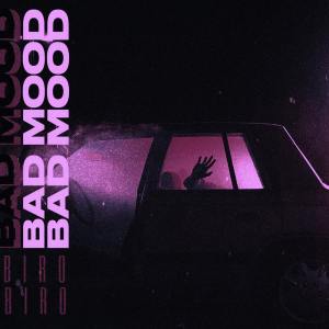 Listen to Bad Mood (Explicit) song with lyrics from Biro