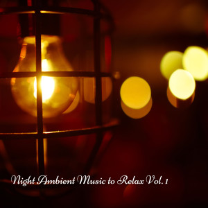 Relaxing Music的專輯Night Ambient Music to Relax Vol. 1