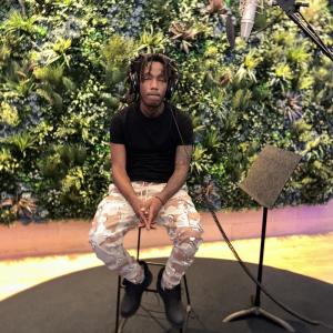 Listen to Unthinkable (Explicit) song with lyrics from Lil Ted