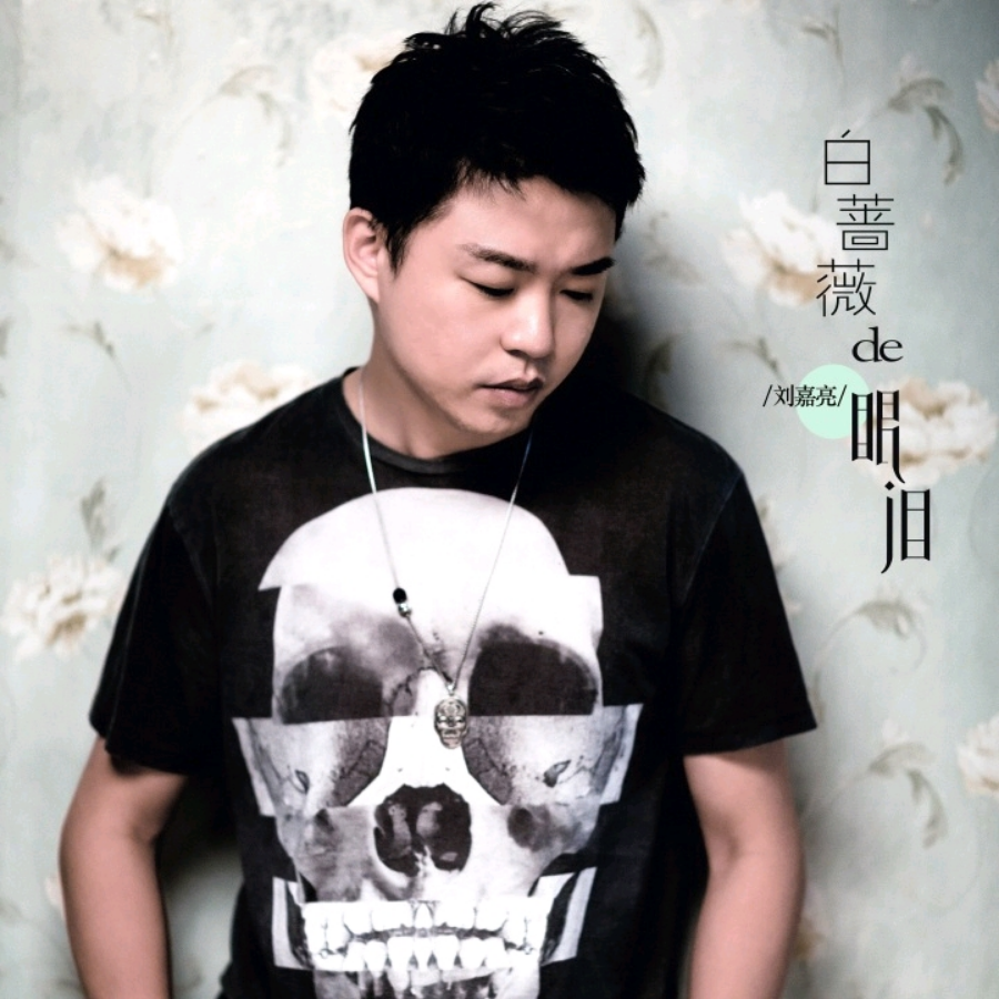 白蔷薇的眼泪 (DJ小品 remix) (Remix)
