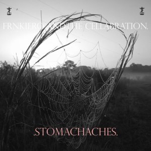 ดาวน์โหลดและฟังเพลง .stitches. พร้อมเนื้อเพลงจาก frnkiero and the cellabration