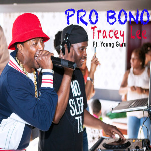 Tracey Lee的专辑Pro Bono (feat. Young Guru) (Explicit)