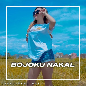 Cadelleksu RMX的专辑Bojoku Nakal