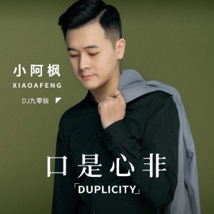 收聽小阿楓的口是心非 (DJ九零版)歌詞歌曲