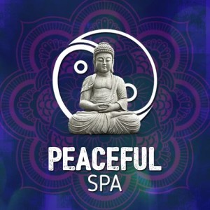 ดาวน์โหลดและฟังเพลง Where Do You Go? พร้อมเนื้อเพลงจาก Peaceful Spa