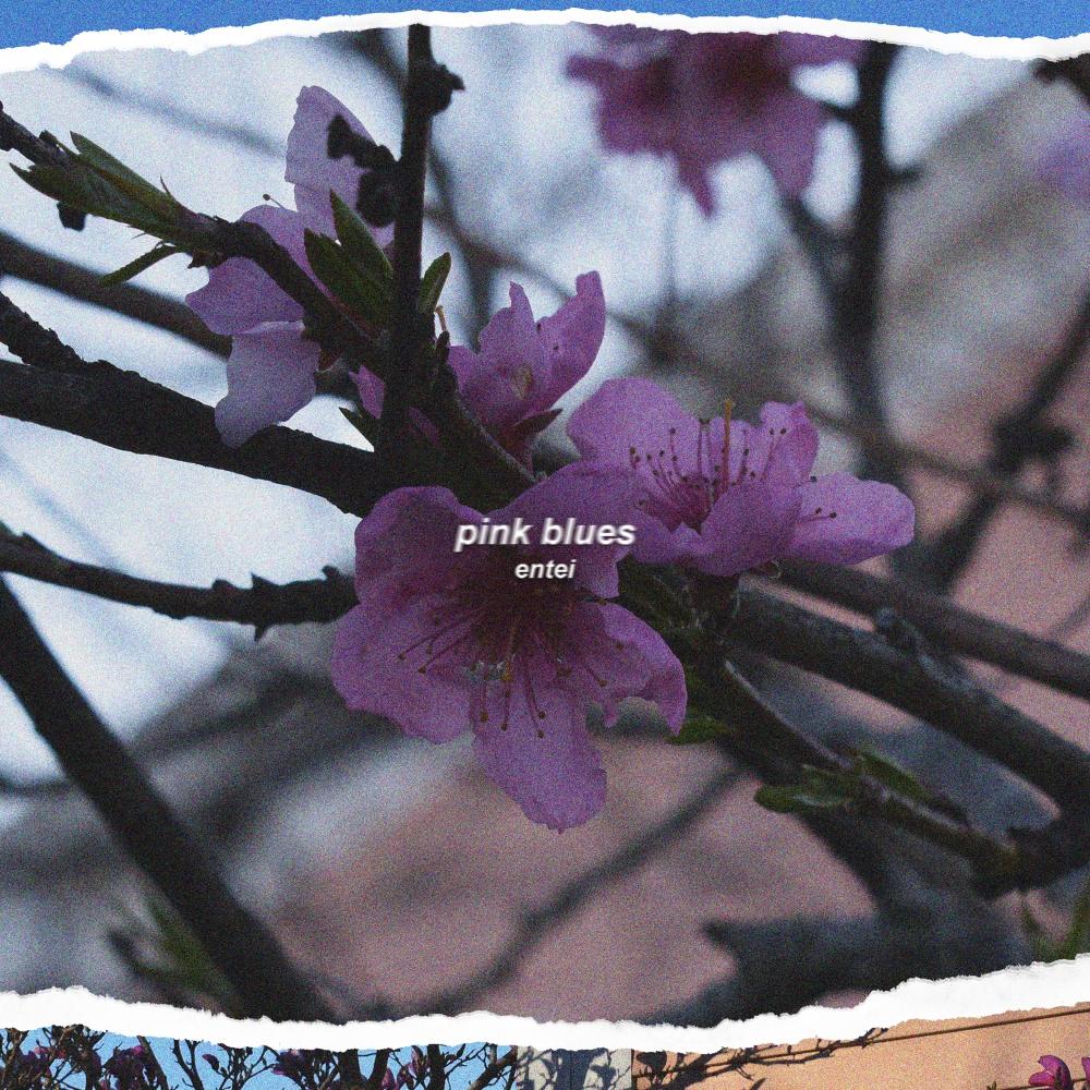 Pink Blues