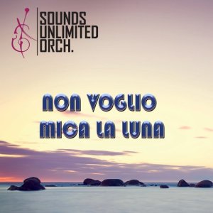 收聽Sounds Unlimited Orchestra的Non Voglio Mica la Luna歌詞歌曲