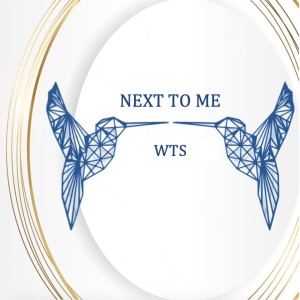 Dengarkan lagu Next to Me (R&B Remix) nyanyian WTS dengan lirik