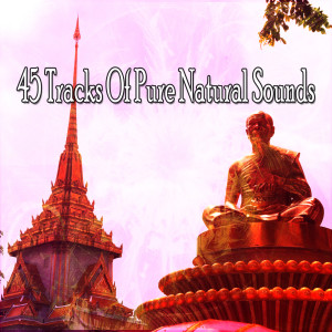 Listen to Spiritual Journey song with lyrics from Meditation