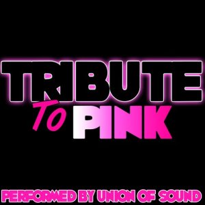 Union Of Sound的專輯Tribute to Pink (Explicit)