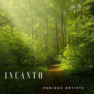 Listen to Libertango song with lyrics from Carlo Pirone