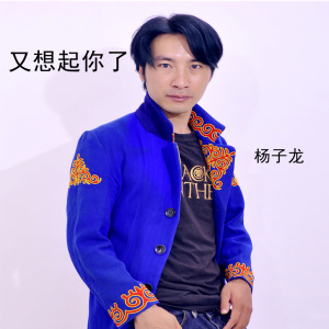 收聽楊子龍的又想起你了歌詞歌曲