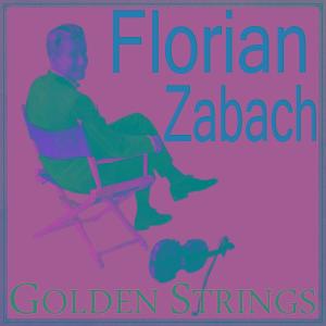 ดาวน์โหลดและฟังเพลง The Harem Scarem พร้อมเนื้อเพลงจาก Florian Zabach
