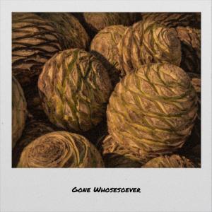 Various的专辑Gone Whosesoever