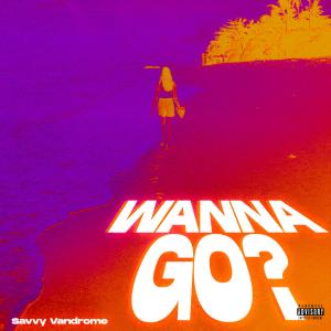 收聽Savvy Vandrome的Wanna Go? (Explicit)歌詞歌曲