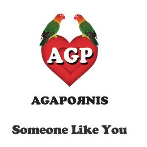 ดาวน์โหลดและฟังเพลง Someone Like You พร้อมเนื้อเพลงจาก Agapornis