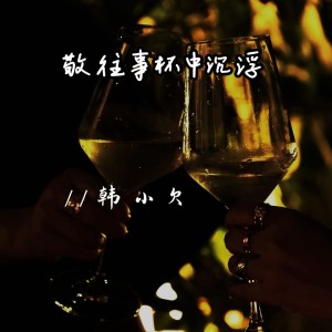 Album 敬往事杯中沉浮 from 韩小欠