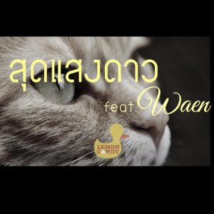 ดาวน์โหลดและฟังเพลง สุดแสงดาว Feat.Waen พร้อมเนื้อเพลงจาก Lemon Candy