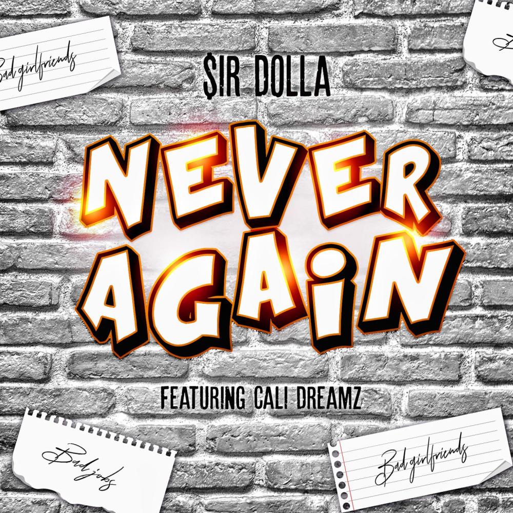 Never Again (Explicit)